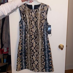 French connection dress NWT